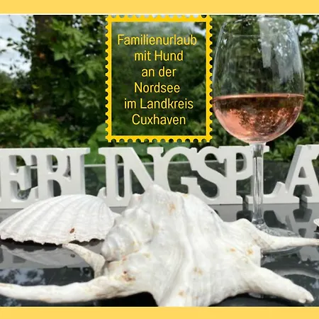 Ferienhaus - Hunde Willkommen, Nicht Nur Geduldet - Hoher Zaun - Terrasse - Infrarotkabine - Familienfreundlich *