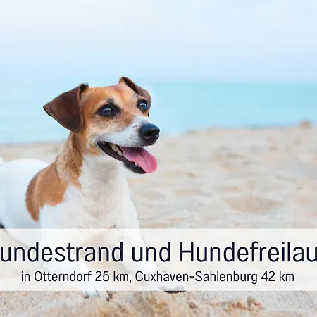 Holiday home - Hunde Herzlich Willkommen - Hoher Zaun - Terrasse Mit Ueberdachung - Familienfreundlich