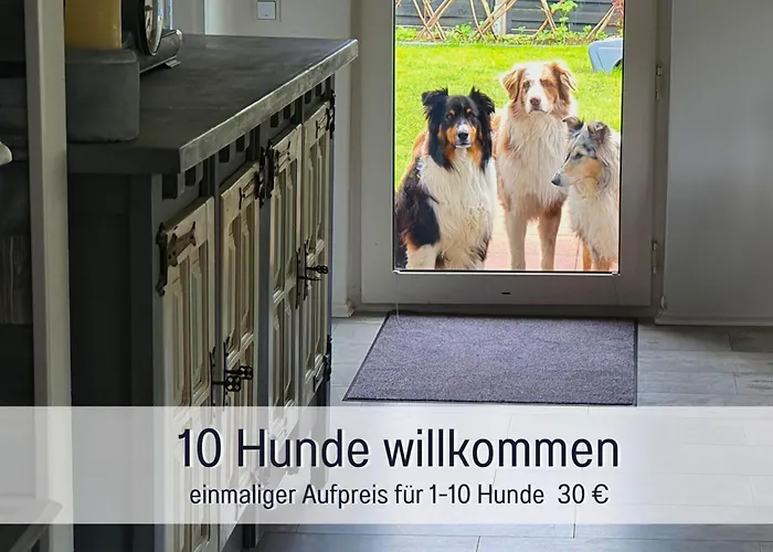 - Hunde Herzlich Willkommen - Hoher Zaun - Terrasse Mit Ueberdachung - Familienfreundlich