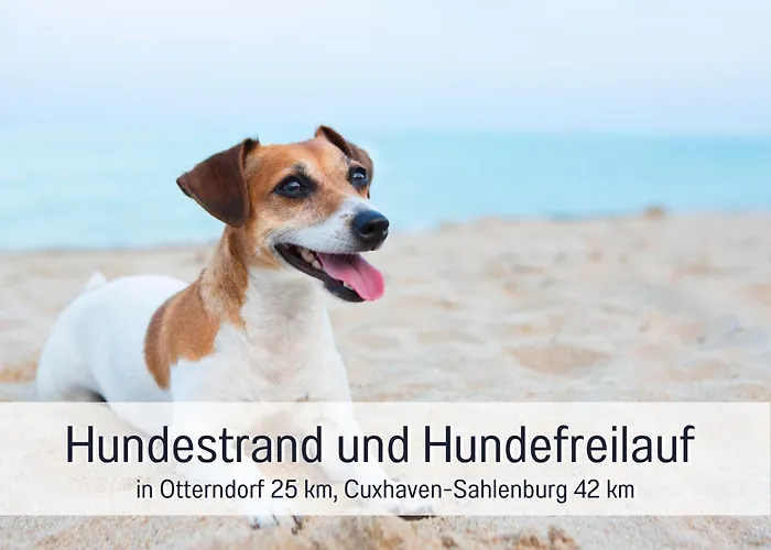 Tatil Evi - Hunde Herzlich Willkommen - Hoher Zaun - Terrasse Mit Ueberdachung - Familienfreundlich
